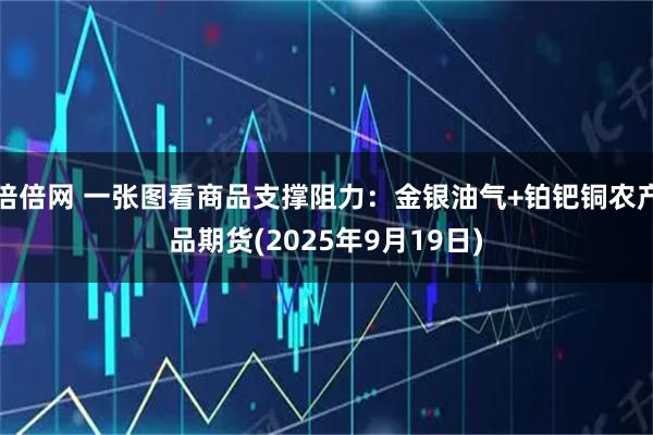 倍倍网 一张图看商品支撑阻力：金银油气+铂钯铜农产品期货(2025年9月19日)