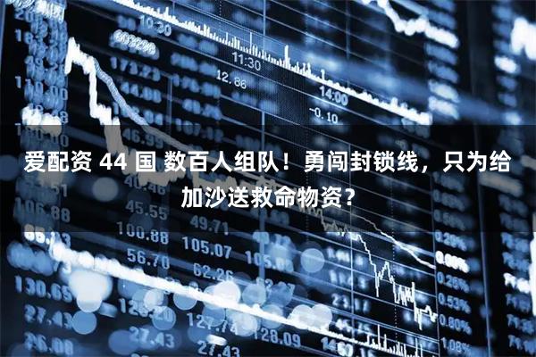 爱配资 44 国 数百人组队！勇闯封锁线，只为给加沙送救命物资？