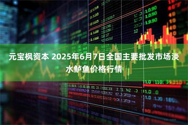 元宝枫资本 2025年6月7日全国主要批发市场淡水鲈鱼价格行情