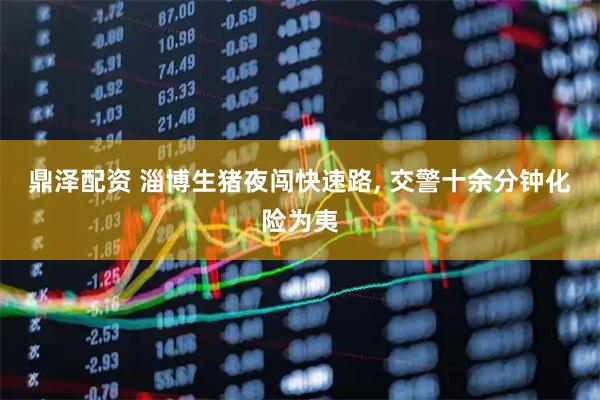 鼎泽配资 淄博生猪夜闯快速路, 交警十余分钟化险为夷